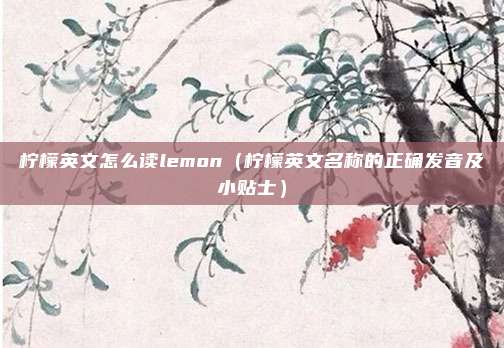 柠檬英文怎么读lemon(柠檬英文名称的正确发音及小贴士)