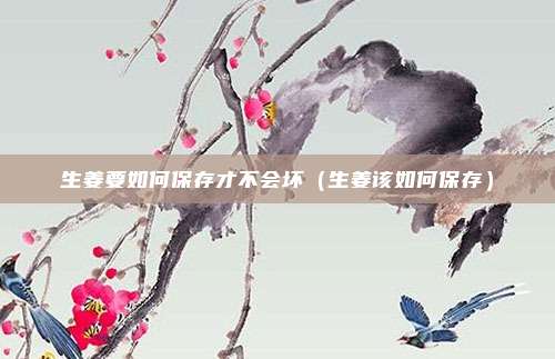 生姜要如何保存才不会坏(生姜该如何保存)