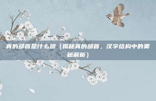 真的部首是什么部(揭秘真的部首,汉字结构中的奥秘解析)