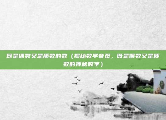 既是偶数又是质数的数(揭秘数学奇观,既是偶数又是质数的神秘数字)