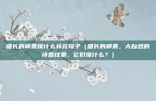 细长的柳条像什么补充句子(细长的柳条,大自然的诗意线条,它们像什么?)