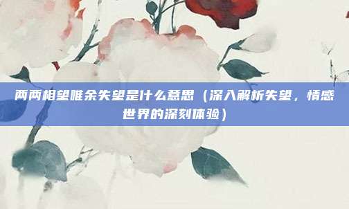 两两相望唯余失望是什么意思(深入解析失望,情感世界的深刻体验)