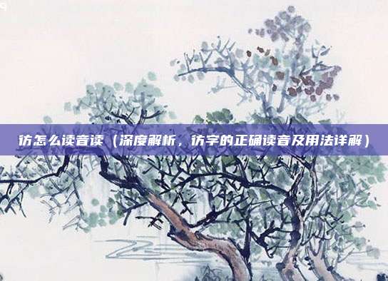 彷怎么读音读(深度解析,彷字的正确读音及用法详解)