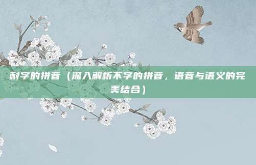 耐字的拼音(深入解析不字的拼音,语音与语义的完美结合)