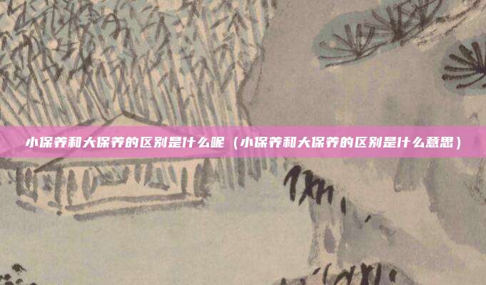 小保养和大保养的区别是什么呢（小保养和大保养的区别是什么意思）