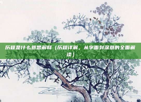 历程是什么意思解释(历程详解,从字面到深意的全面解读)