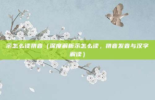 示怎么读拼音(深度解析示怎么读,拼音发音与汉字解读)