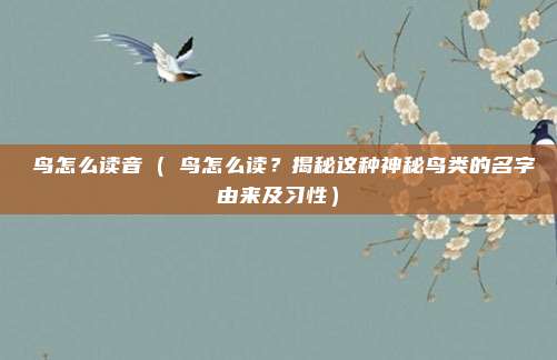 鸮鸟怎么读音(鸮鸟怎么读?揭秘这种神秘鸟类的名字由来及习性)