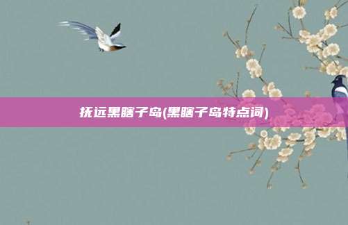 抚远黑瞎子岛(黑瞎子岛特点词)