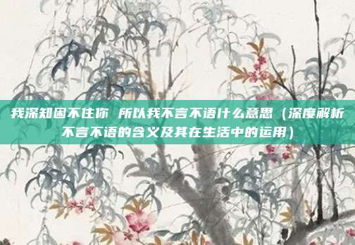 我深知困不住你 所以我不言不语什么意思(深度解析不言不语的含义及其在生活中的运用)