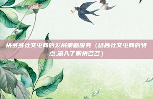 拼多多社交电商的发展策略研究(结合社交电商的特点,深入了解拼多多)