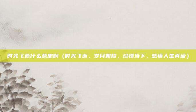时光飞逝什么意思啊(时光飞逝,岁月如梭,珍惜当下,感悟人生真谛)