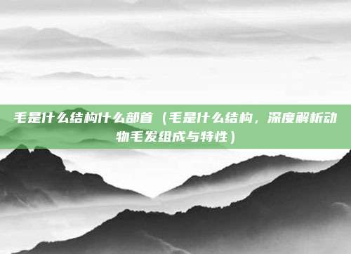 毛是什么结构什么部首（毛是什么结构，深度解析动物毛发组成与特性）
