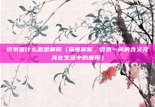 切勿是什么意思解释(深度解析,切勿一词的含义及其在生活中的应用)