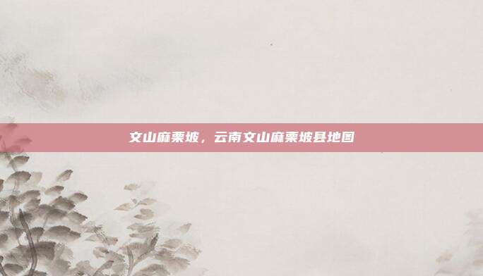 文山麻栗坡,云南文山麻栗坡县地图