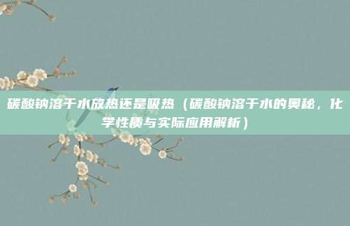 碳酸钠溶于水放热还是吸热(碳酸钠溶于水的奥秘,化学性质与实际应用解析)