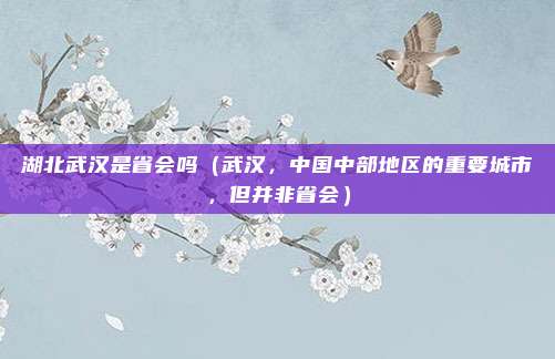 湖北武汉是省会吗(武汉,中国中部地区的重要城市,但并非省会)