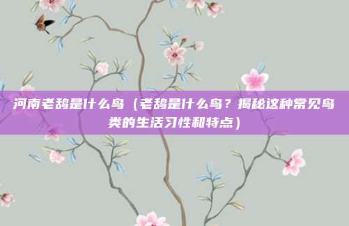 河南老鸹是什么鸟(老鸹是什么鸟?揭秘这种常见鸟类的生活习性和特点)