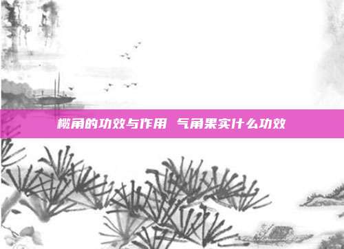 榄角的功效与作用 气角果实什么功效
