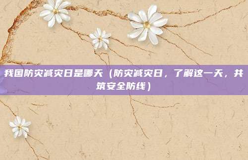 我国防灾减灾日是哪天(防灾减灾日,了解这一天,共筑安全防线)