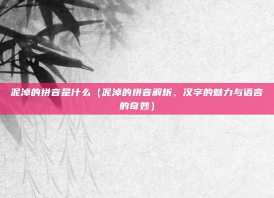 泥淖的拼音是什么（泥淖的拼音解析，汉字的魅力与语言的奇妙）