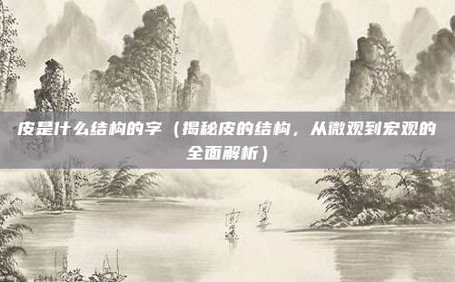 皮是什么结构的字(揭秘皮的结构,从微观到宏观的全面解析)