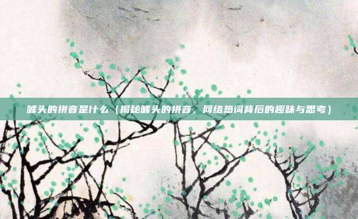 噱头的拼音是什么(揭秘噱头的拼音,网络热词背后的趣味与思考)