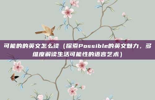 可能的的英文怎么读(探索Possible的英文魅力,多维度解读生活可能性的语言艺术)