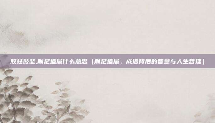 胶柱鼓瑟,削足适履什么意思(削足适履,成语背后的智慧与人生哲理)
