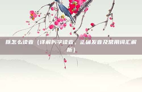 豚怎么读音(详解肟字读音,正确发音及常用词汇解析)