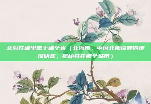 北海在哪里属于哪个省(北海市,中国北部湾畔的璀璨明珠,揭秘其在哪个城市)