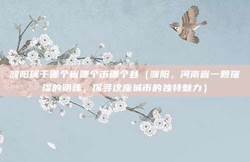 濮阳属于哪个省哪个市哪个县(濮阳,河南省一颗璀璨的明珠,探寻这座城市的独特魅力)