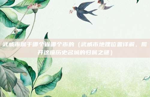 武威市属于哪个省哪个市的(武威市地理位置详解,揭开这座历史名城的归属之谜)