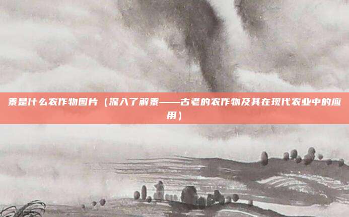 黍是什么农作物图片(深入了解黍——古老的农作物及其在现代农业中的应用)