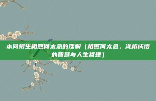 本同根生相煎何太急的理解(相煎何太急,浅析成语的智慧与人生哲理)
