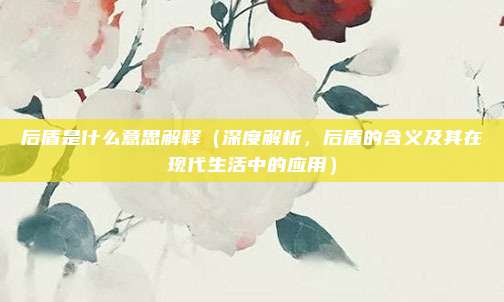 后盾是什么意思解释(深度解析,后盾的含义及其在现代生活中的应用)