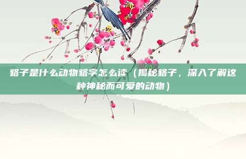 貉子是什么动物貉字怎么读(揭秘貉子,深入了解这种神秘而可爱的动物)