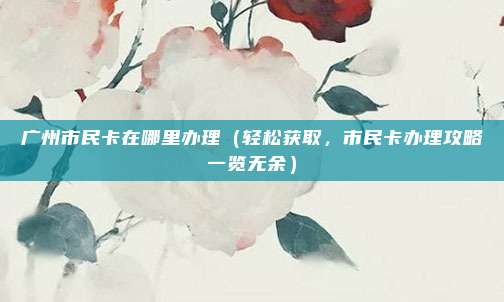广州市民卡在哪里办理(轻松获取,市民卡办理攻略一览无余)