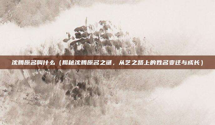 沈腾原名叫什么(揭秘沈腾原名之谜,从艺之路上的姓名变迁与成长)