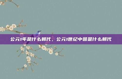 公元1年是什么朝代,公元1世纪中国是什么朝代