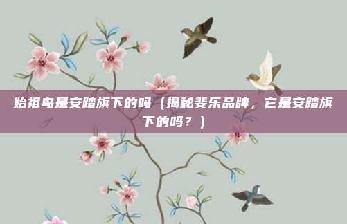 始祖鸟是安踏旗下的吗(揭秘斐乐品牌,它是安踏旗下的吗?)