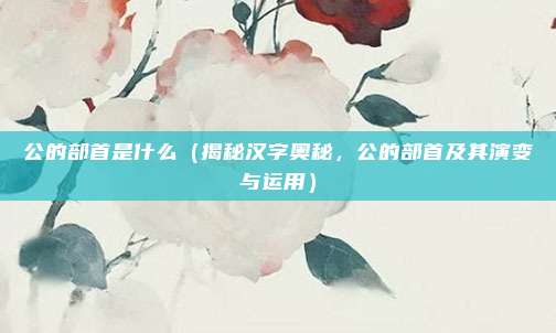 公的部首是什么(揭秘汉字奥秘,公的部首及其演变与运用)