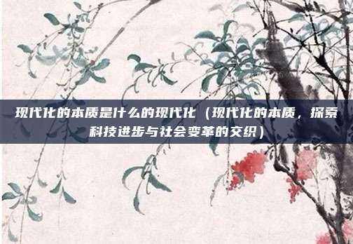 现代化的本质是什么的现代化(现代化的本质,探索科技进步与社会变革的交织)