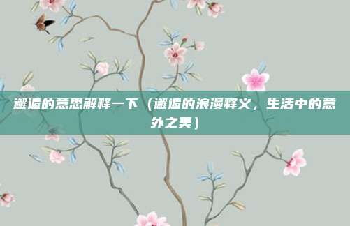 邂逅的意思解释一下(邂逅的浪漫释义,生活中的意外之美)