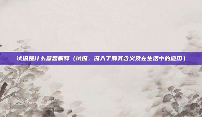 试探是什么意思解释(试探,深入了解其含义及在生活中的应用)