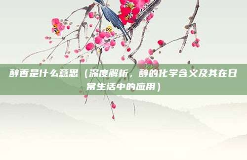 醇香是什么意思(深度解析,醇的化学含义及其在日常生活中的应用)
