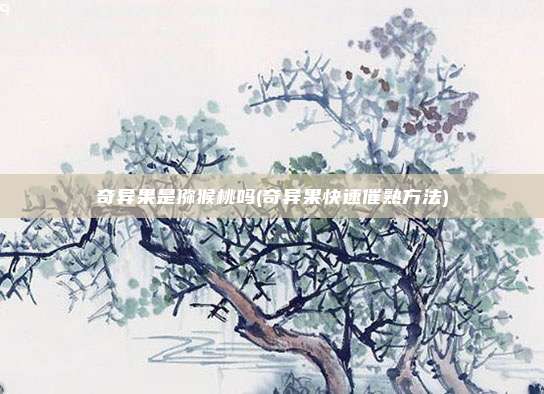 奇异果是猕猴桃吗(奇异果快速催熟方法)