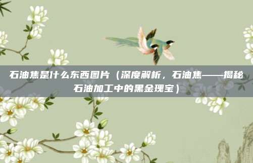石油焦是什么东西图片（深度解析，石油焦——揭秘石油加工中的黑金瑰宝）