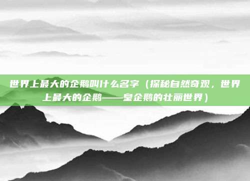 世界上最大的企鹅叫什么名字(探秘自然奇观,世界上最大的企鹅——皇企鹅的壮丽世界)