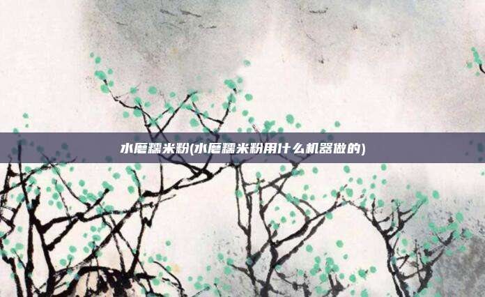 水磨糯米粉(水磨糯米粉用什么机器做的)